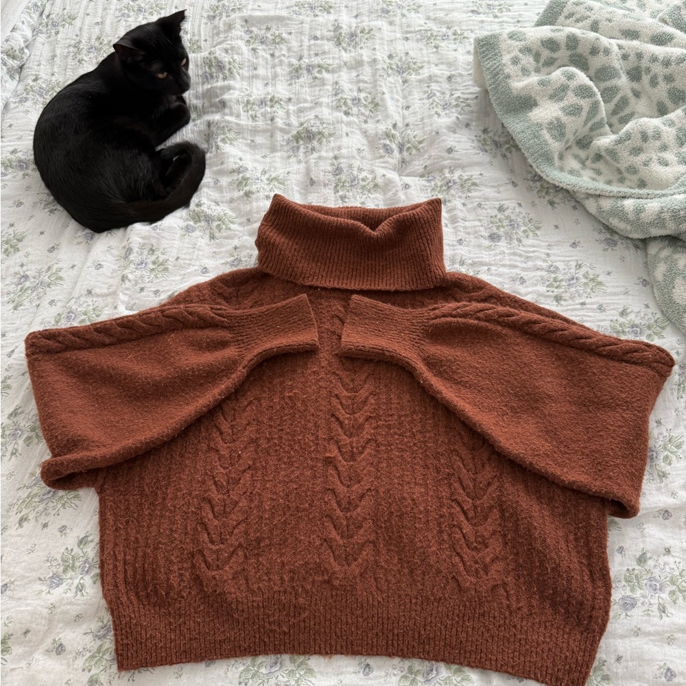 Wild Fable Brown Turtle Neck Sweater